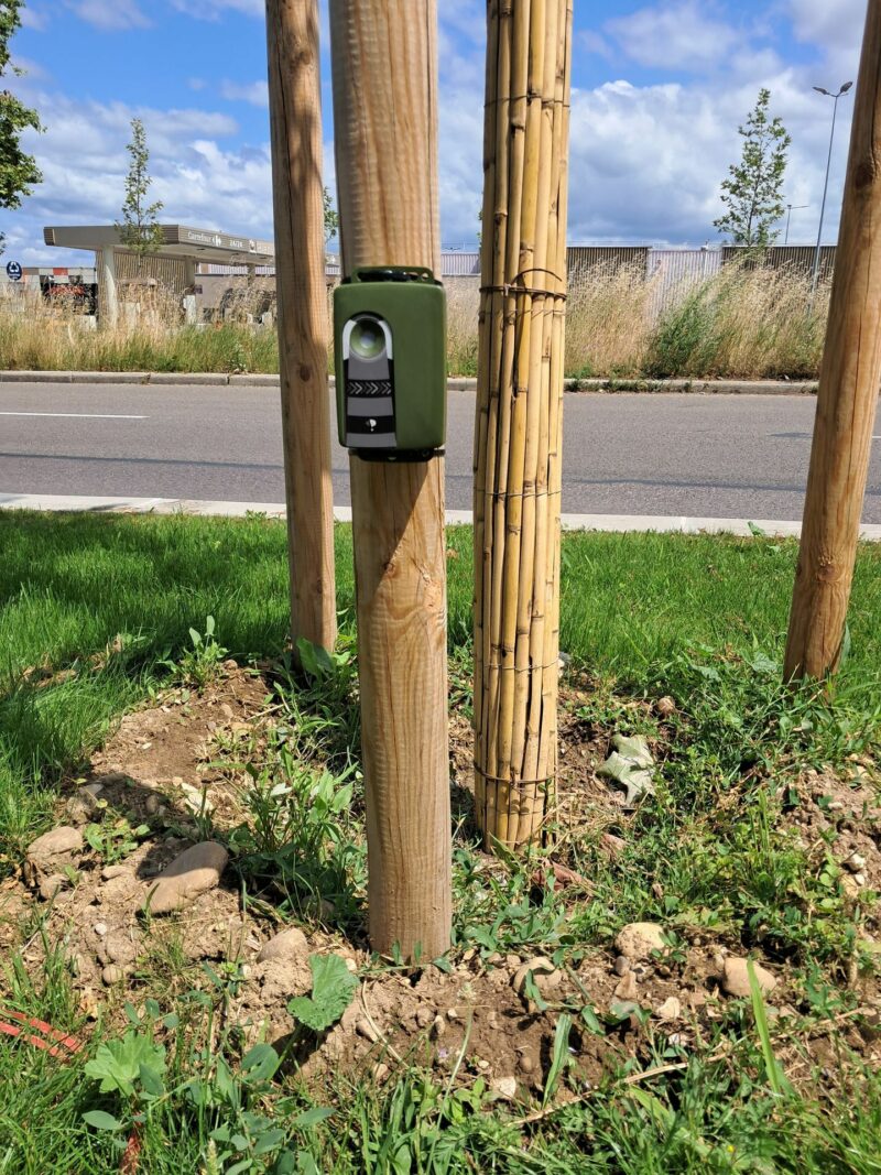 comptage mixte vélos/piétons Kiomda