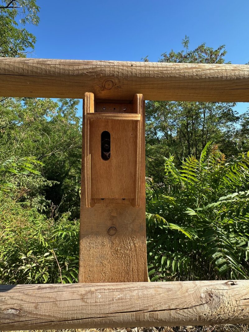 comptage mixte vélos/piétons kiomda